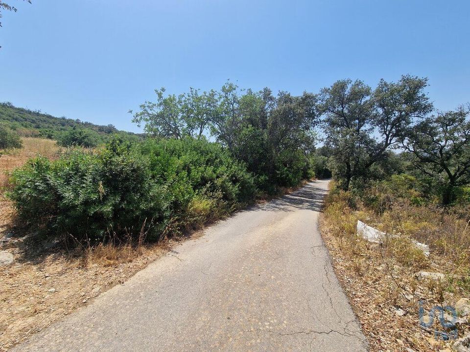 Terra a Faro, Faro - foto 3