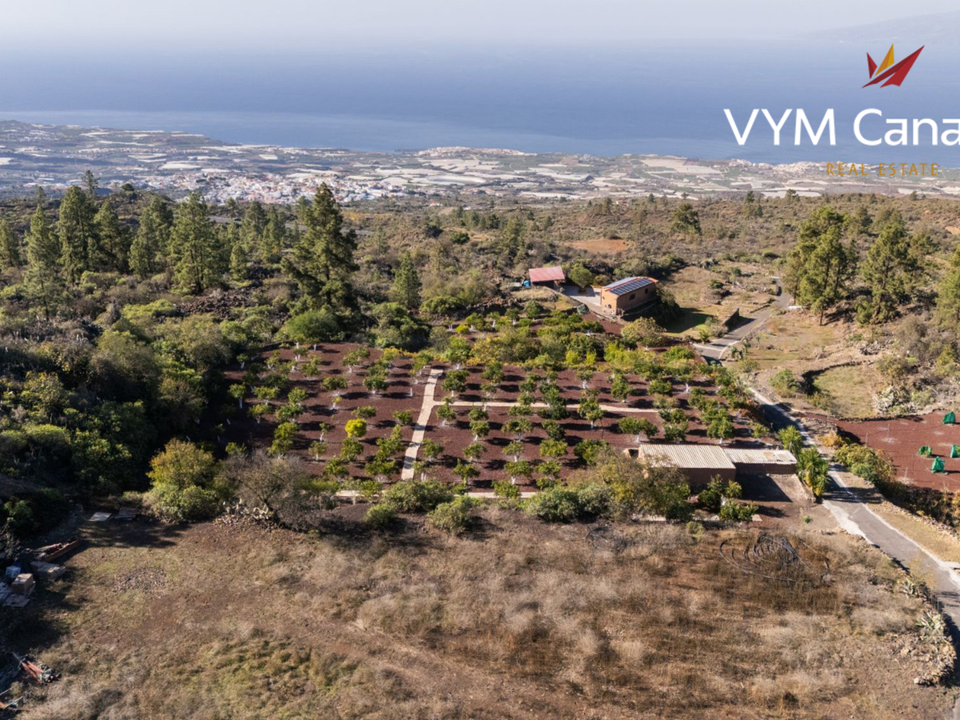 Finca a Guia De Isora, Tenerife - foto 1