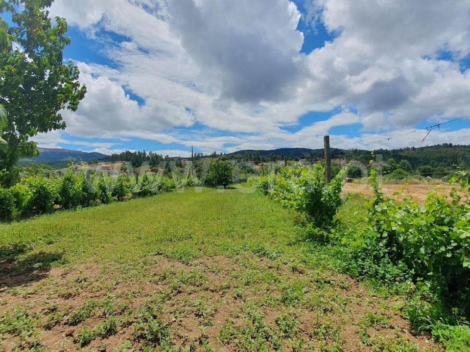 Landejendom i Fundao, Castelo Branco - foto 1