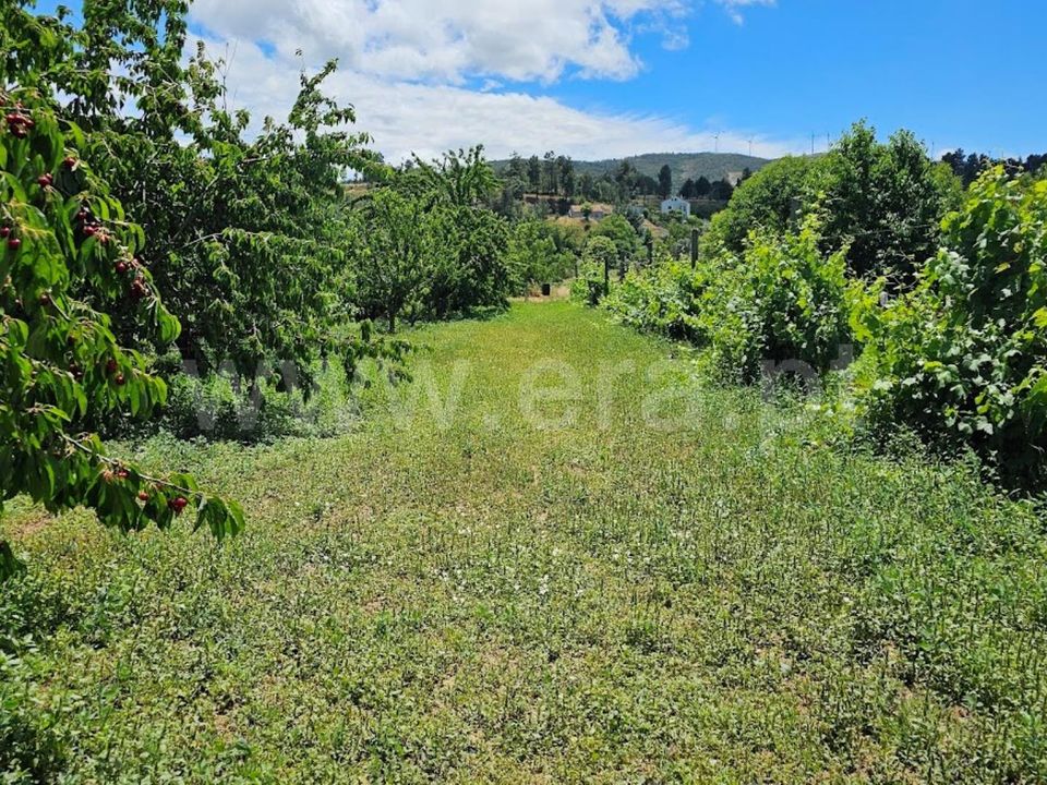 Landejendom i Fundao, Castelo Branco - foto 3