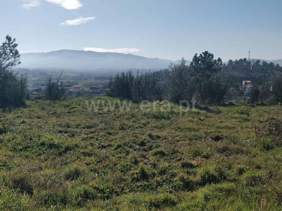 Helårsgrund i Fundao, Castelo Branco - foto 1