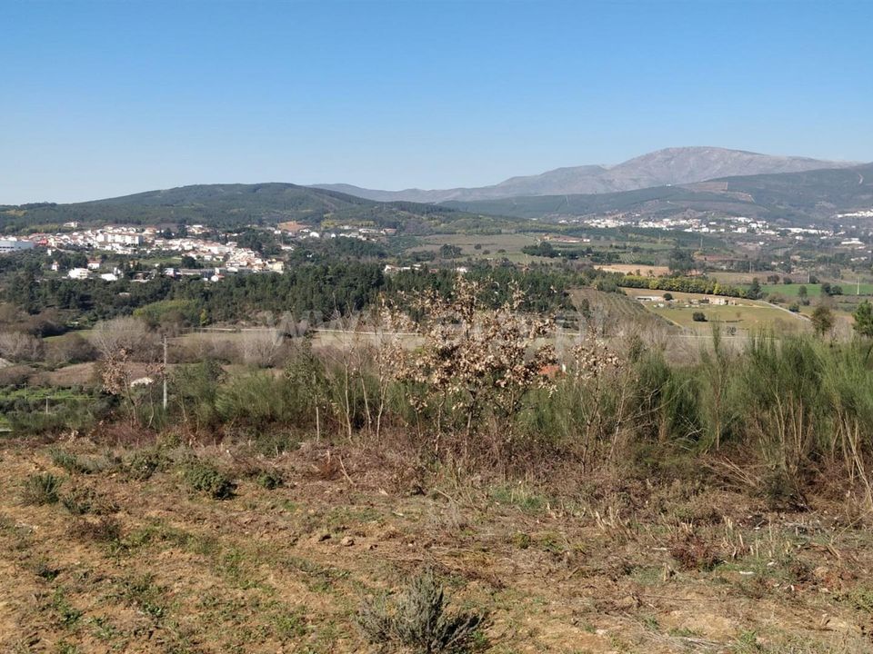 Helårsgrund i Fundao, Castelo Branco - foto 2