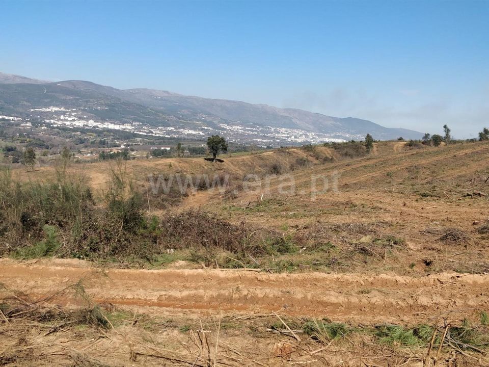 Helårsgrund i Fundao, Castelo Branco - foto 3