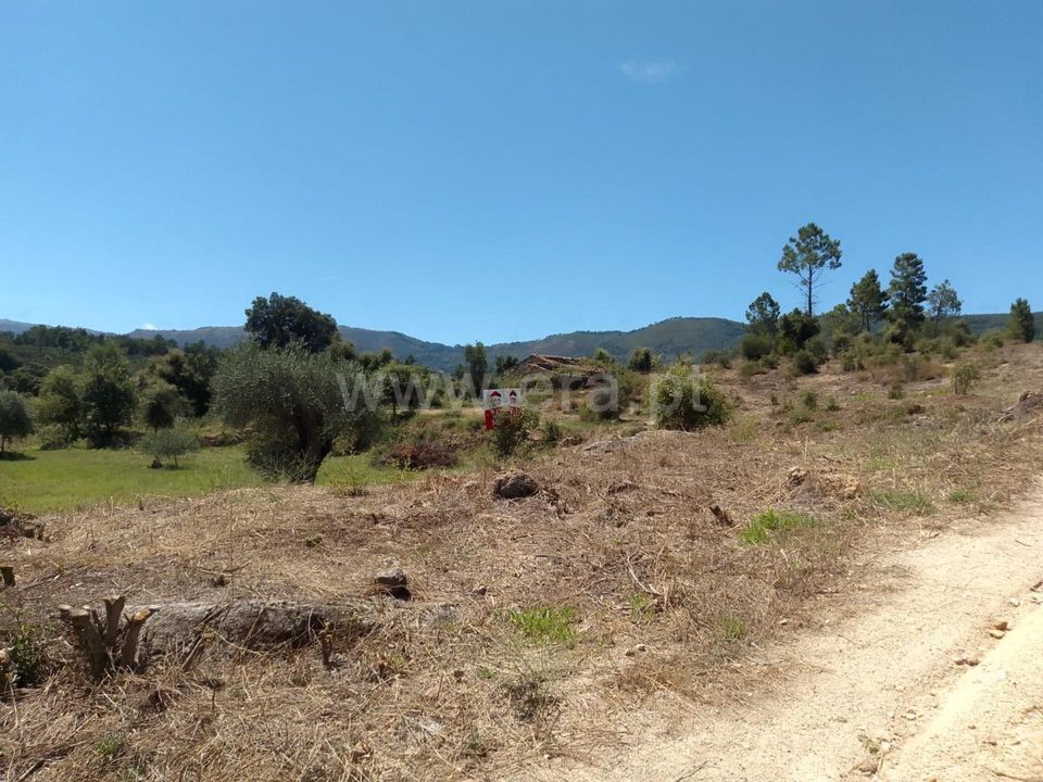 Helårsgrund i Fundao, Castelo Branco - foto 1