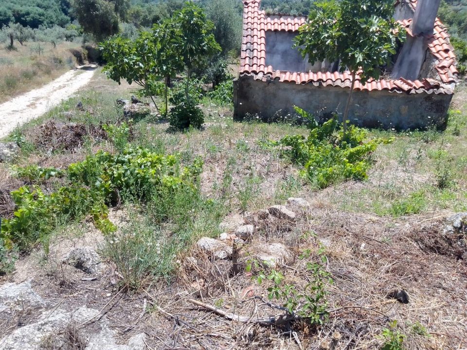 Helårsgrund i Fundao, Castelo Branco - foto 2
