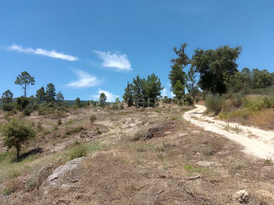 Helårsgrund i Fundao, Castelo Branco - foto 3