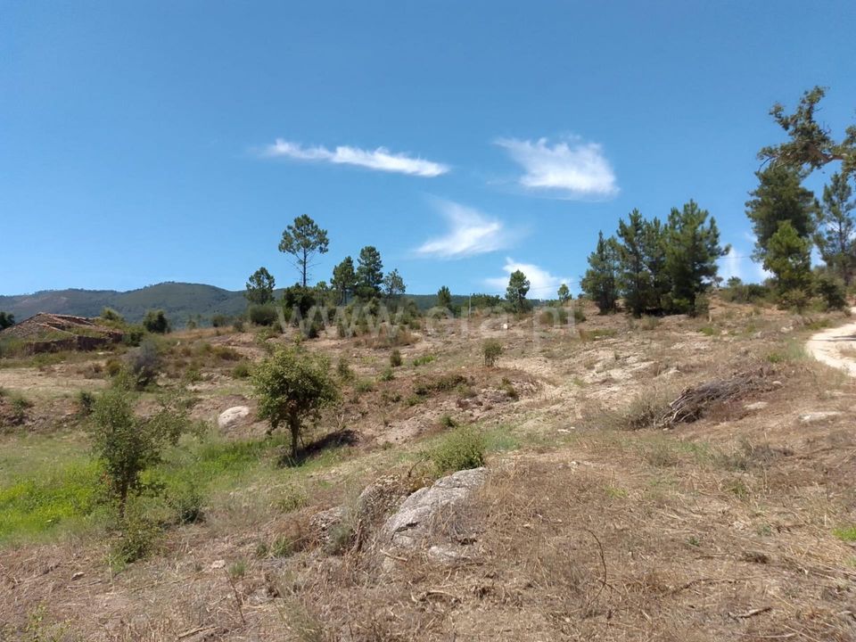 Helårsgrund i Fundao, Castelo Branco - foto 4