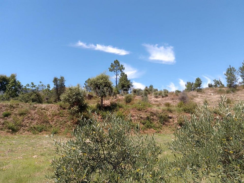 Helårsgrund i Fundao, Castelo Branco - foto 5