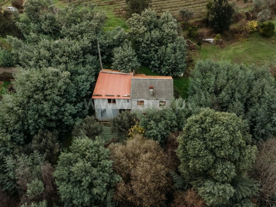 Helårsgrund i Fundao, Castelo Branco - foto 1