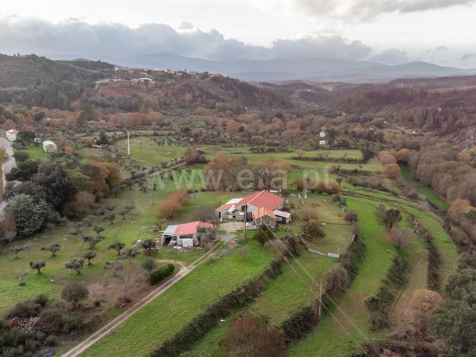 Herregård i Fundao, Castelo Branco - bilde 3
