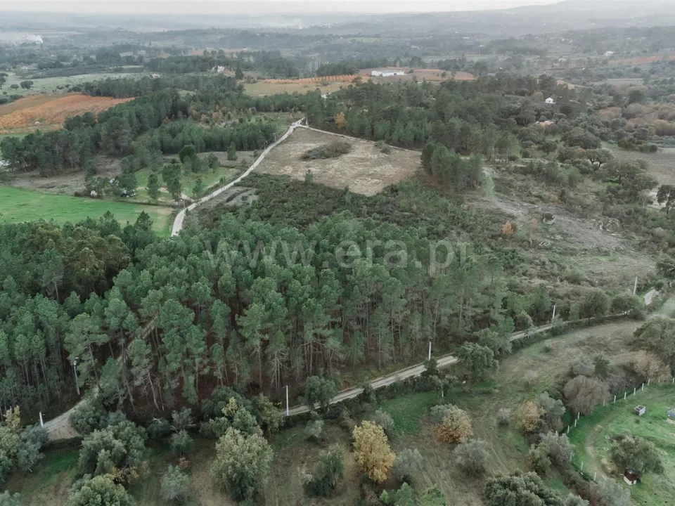 Tomt i Fundao, Castelo Branco - bilde 1