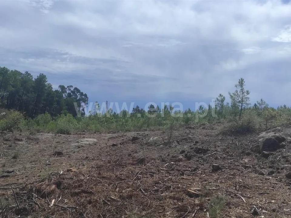 Tomt i Fundao, Castelo Branco - bilde 2