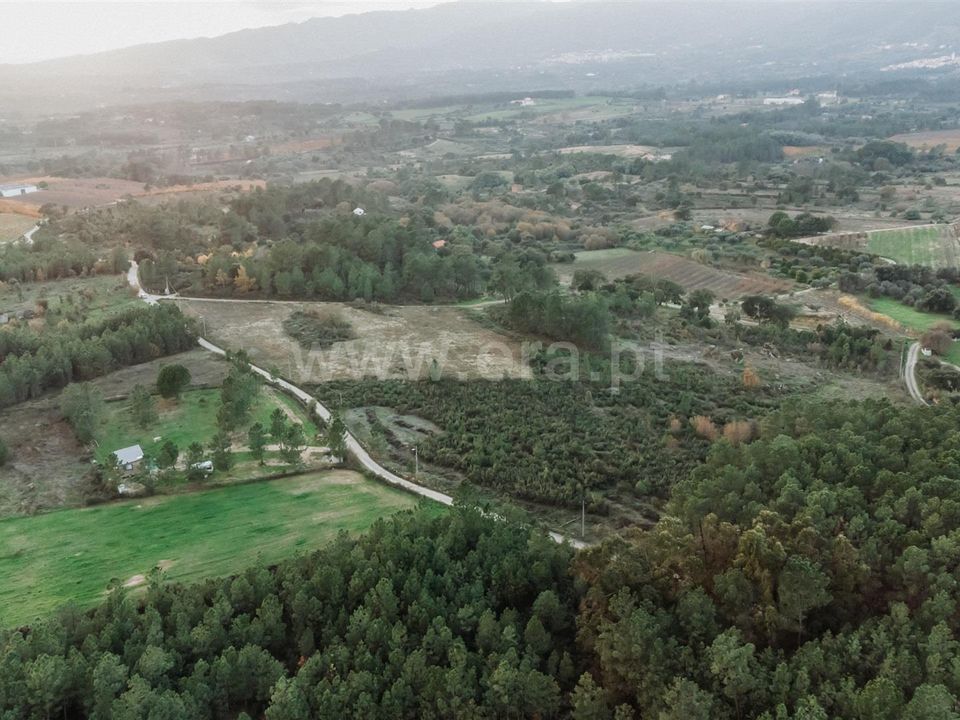 Tomt i Fundao, Castelo Branco - bilde 3