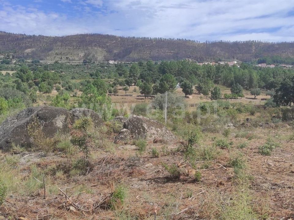 Tomt i Fundao, Castelo Branco - bilde 4