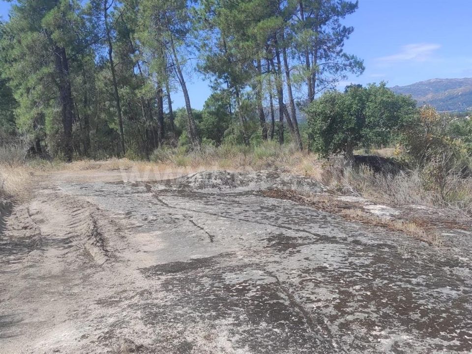 Tomt i Fundao, Castelo Branco - bilde 5