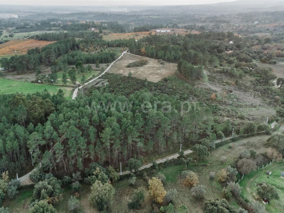 Tomt i Fundao, Castelo Branco - bilde 5