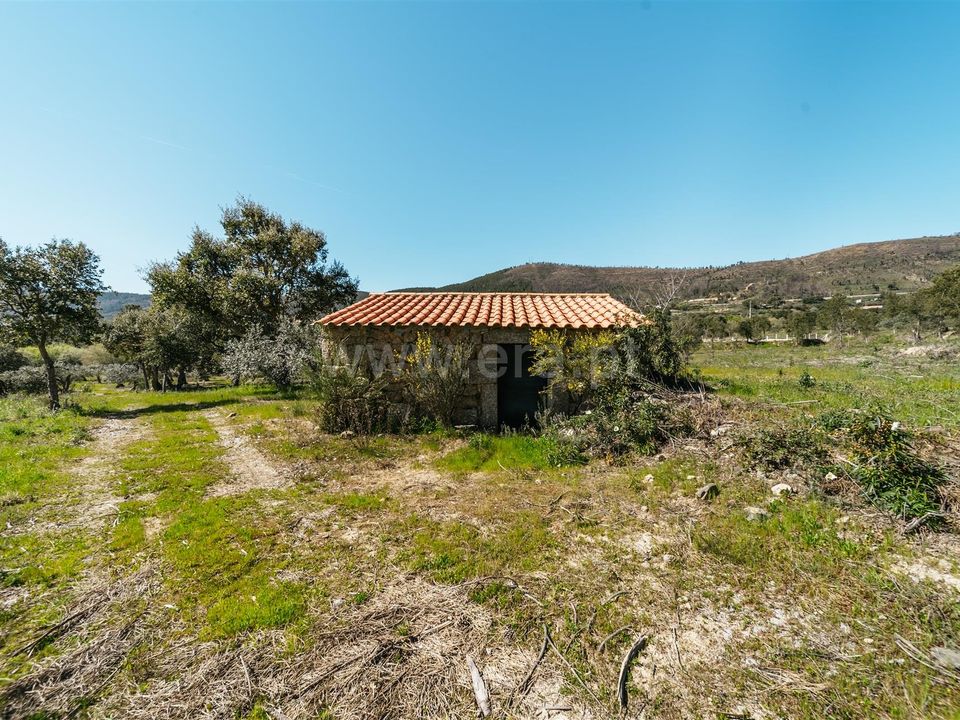 Gård i Fundao, Castelo Branco - bilde 2