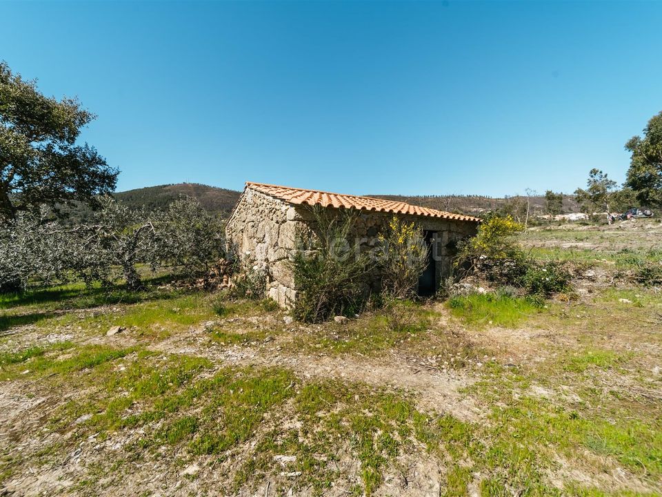Gård i Fundao, Castelo Branco - bilde 3