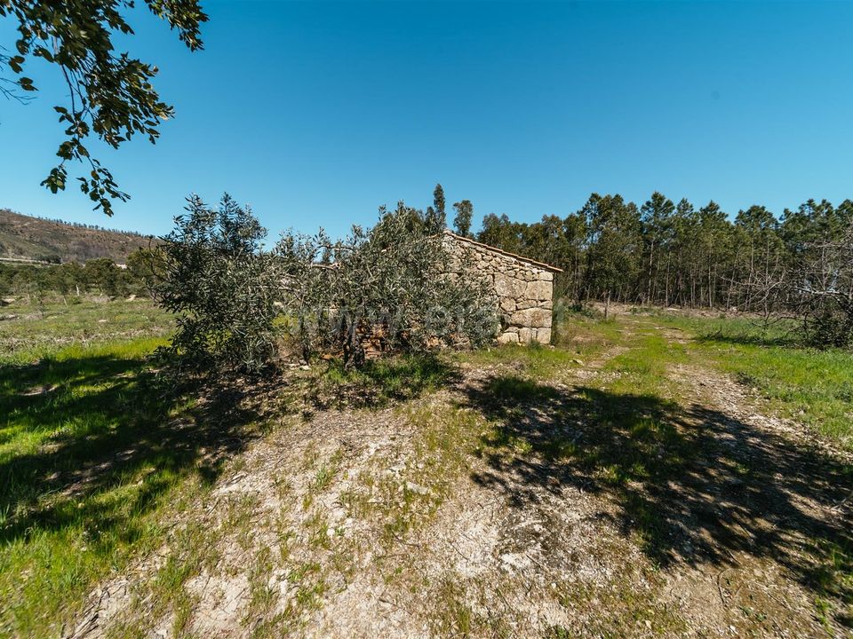 Gård i Fundao, Castelo Branco - bilde 5