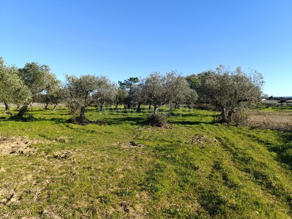 Helårsgrund i Fundao, Castelo Branco - foto 1
