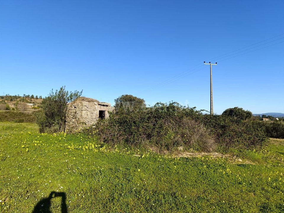 Helårsgrund i Fundao, Castelo Branco - foto 3