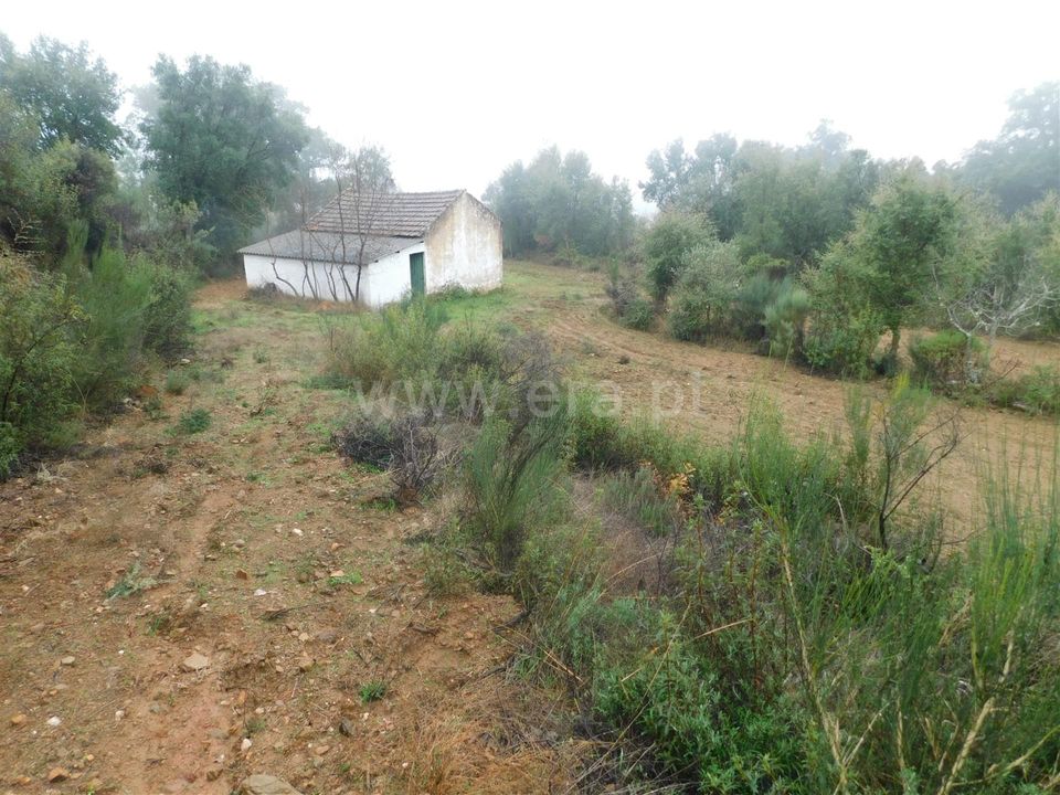 Helårsgrund i Fundao, Castelo Branco - foto 1