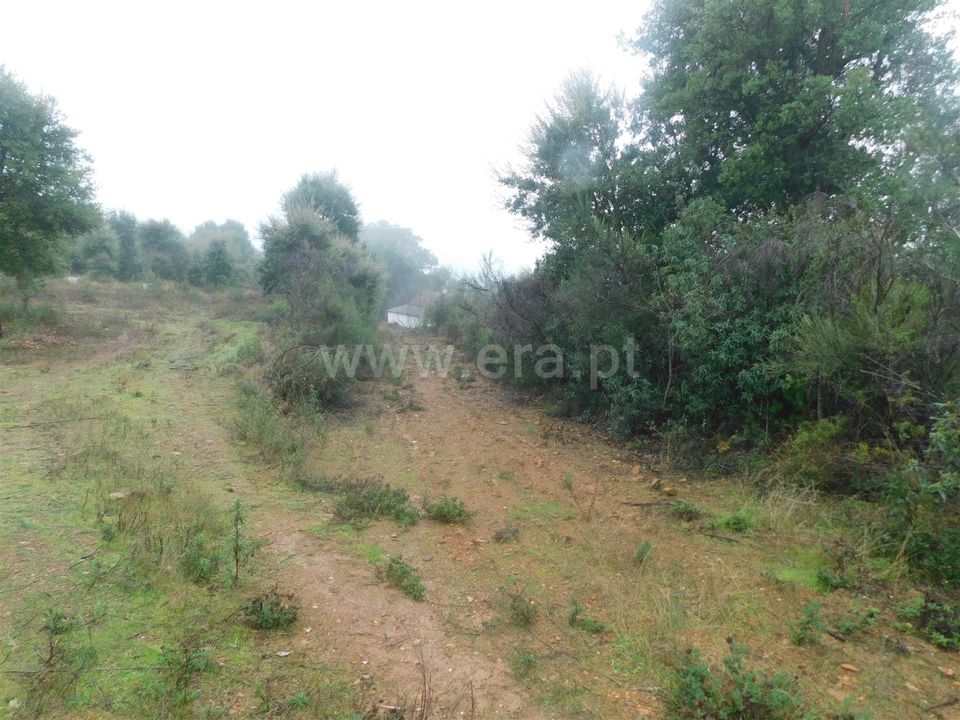 Helårsgrund i Fundao, Castelo Branco - foto 2