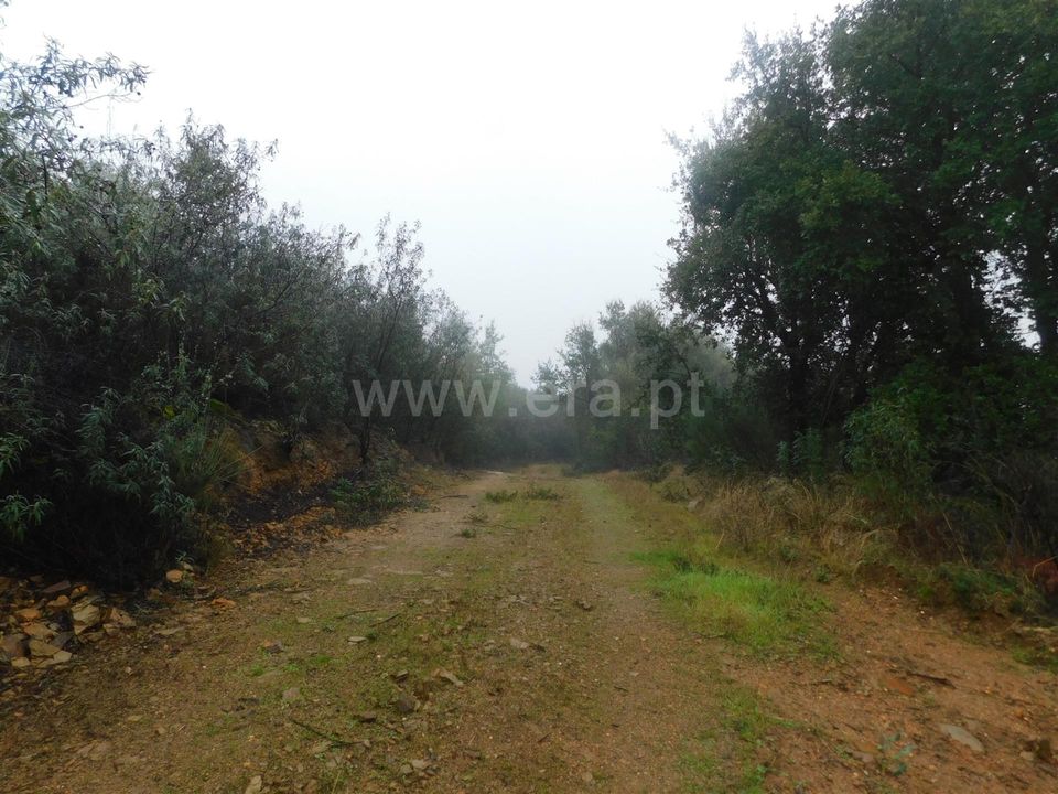 Helårsgrund i Fundao, Castelo Branco - foto 5