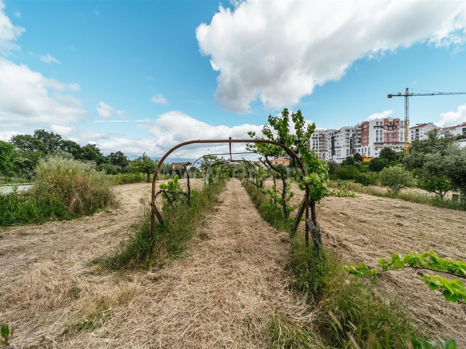 Tomt i Fundao, Castelo Branco - bilde 2