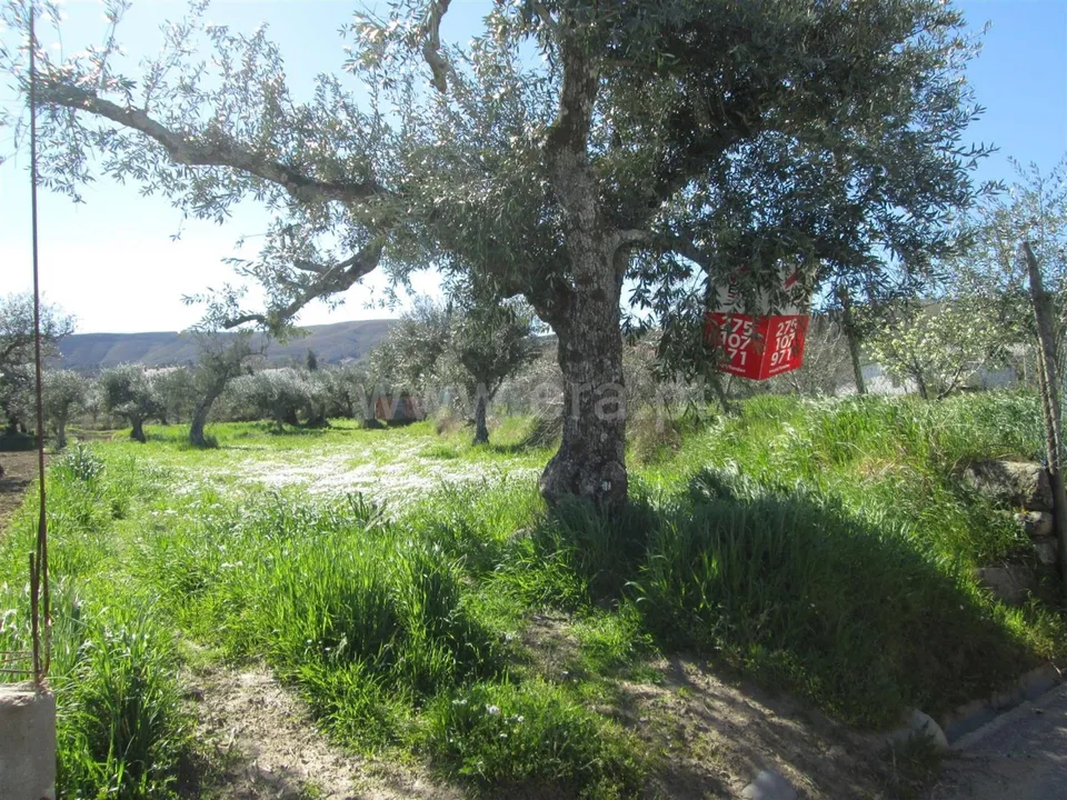 Landejendom i Fundao, Castelo Branco - foto 1