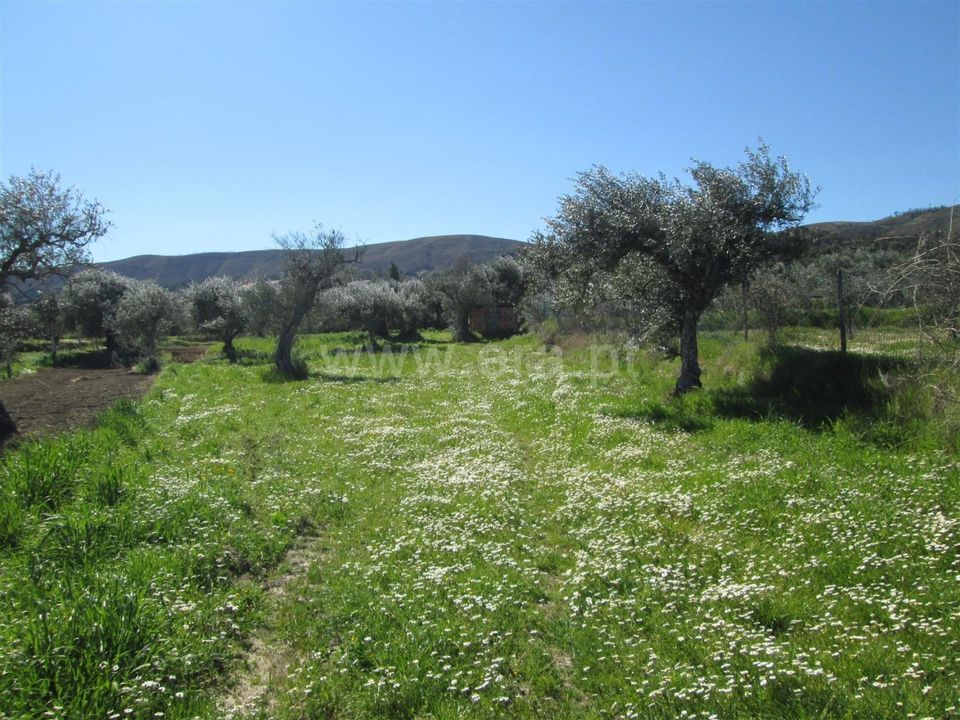 Landejendom i Fundao, Castelo Branco - foto 2