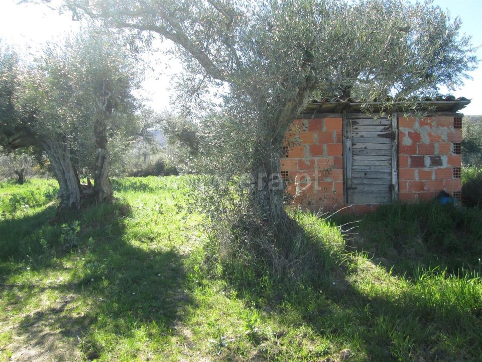 Landejendom i Fundao, Castelo Branco - foto 3