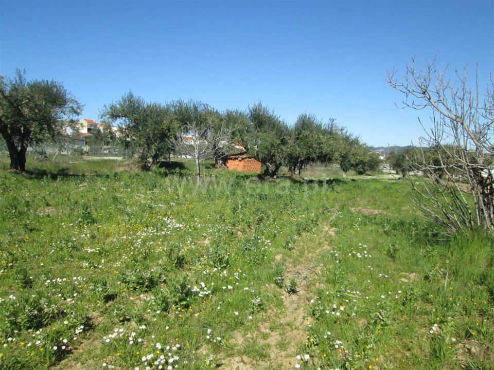 Landejendom i Fundao, Castelo Branco - foto 5