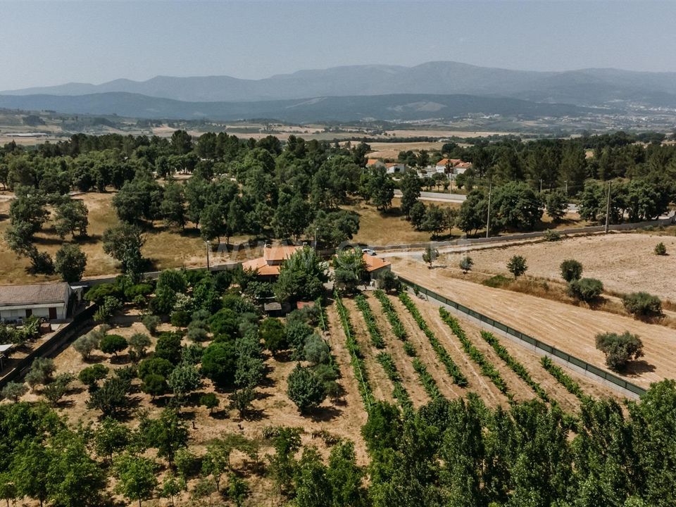 Landejendom i Fundao, Castelo Branco - foto 1