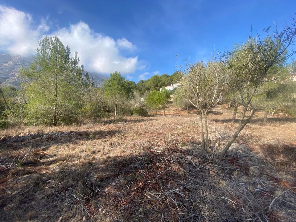 Terra a Denia, Alicante - foto 1