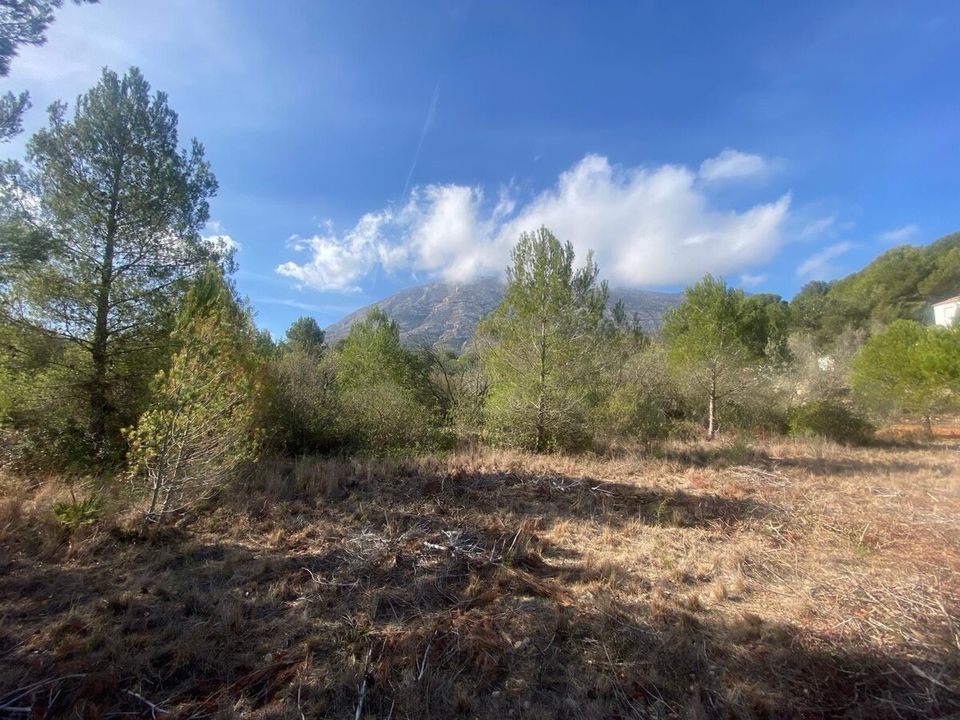 Terra a Denia, Alicante - foto 2