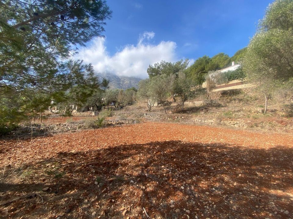 Terra a Denia, Alicante - foto 3