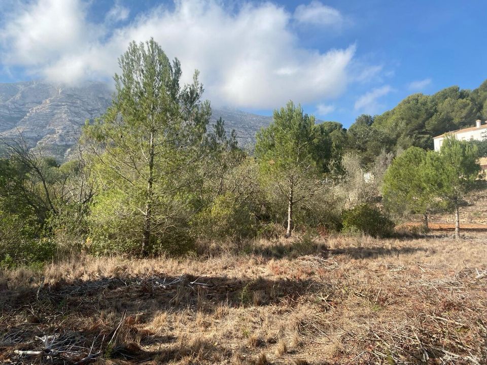 Terra a Denia, Alicante - foto 4