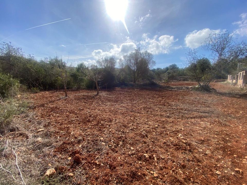 Terra a Denia, Alicante - foto 5