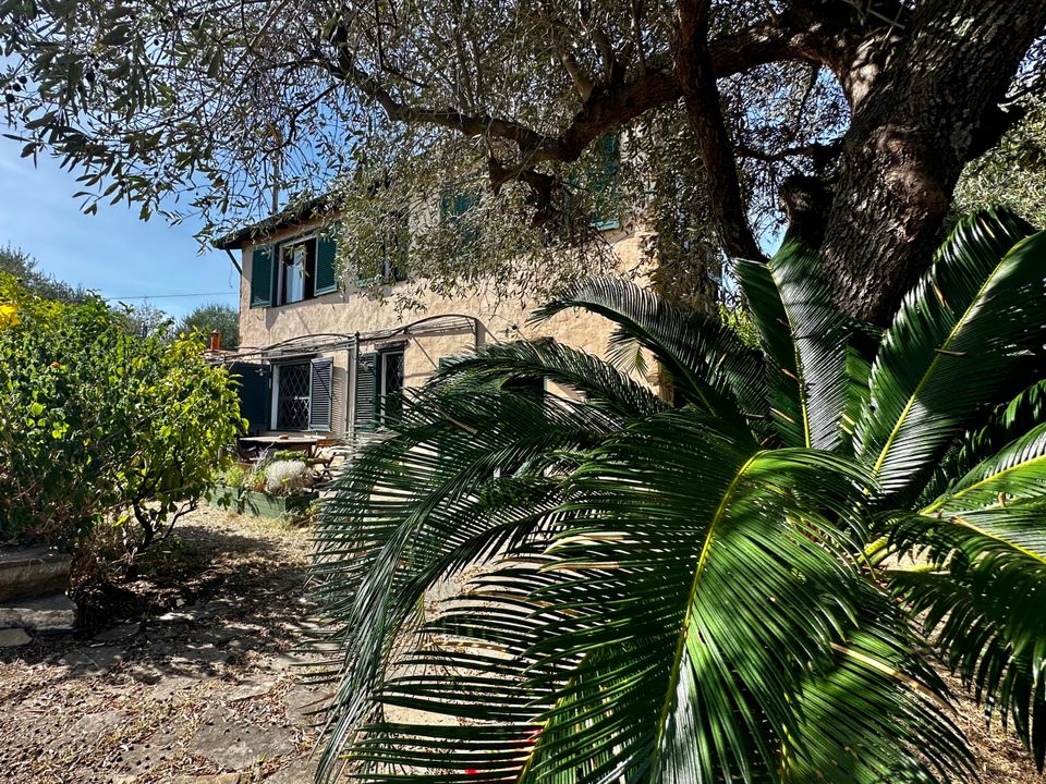 Villa in Diano Castello, Imperia - photo 1