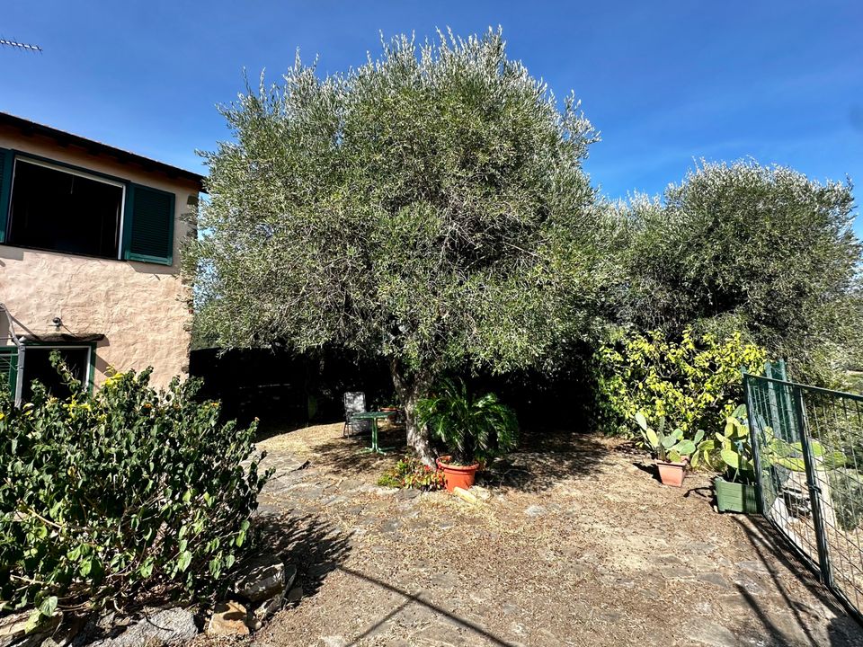 Villa in Diano Castello, Imperia - photo 4