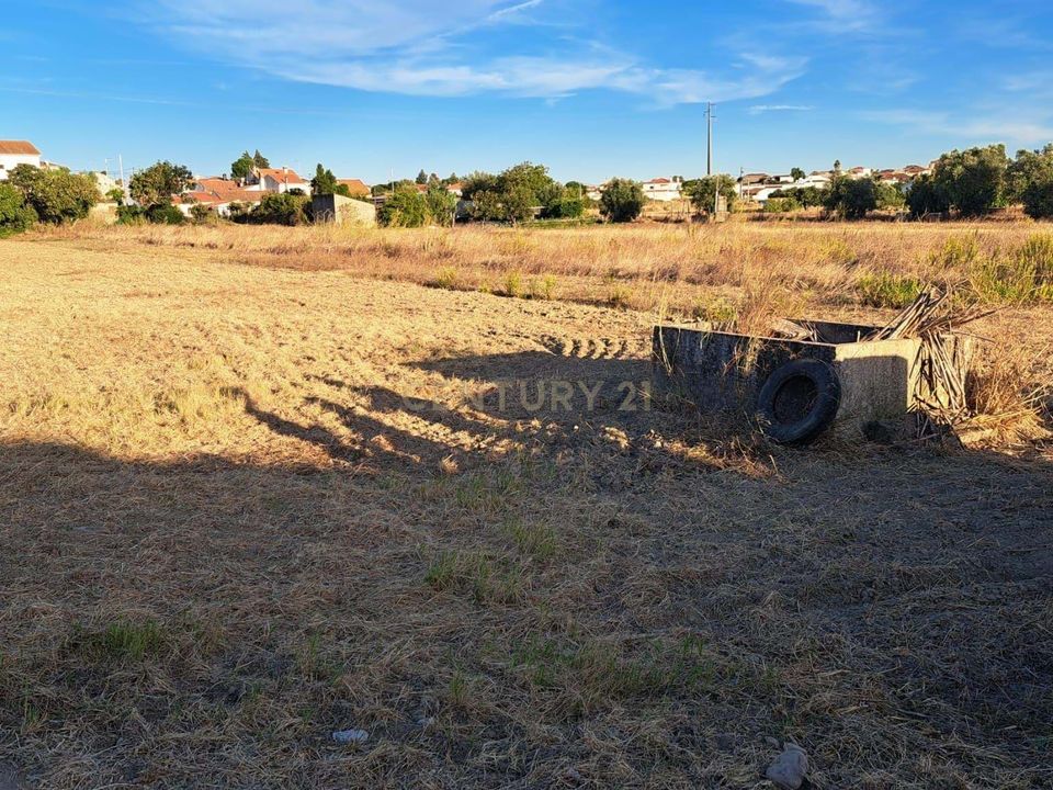 Helårsgrund i Torres Novas, Santarem - foto 2