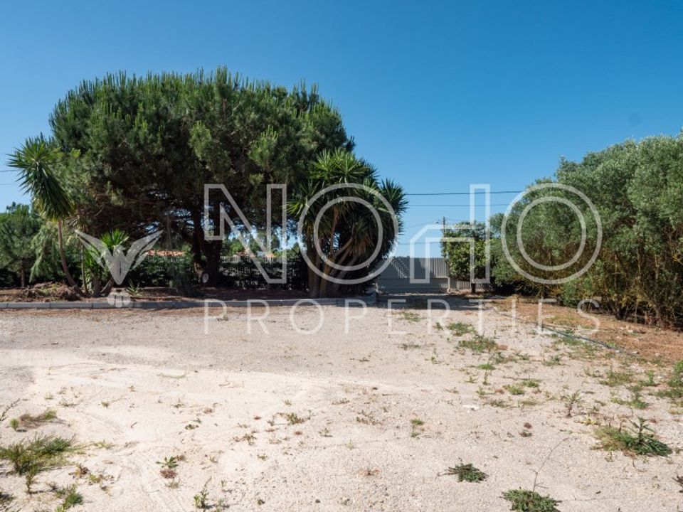 Villa i Alcobaca, Leiria - foto 5
