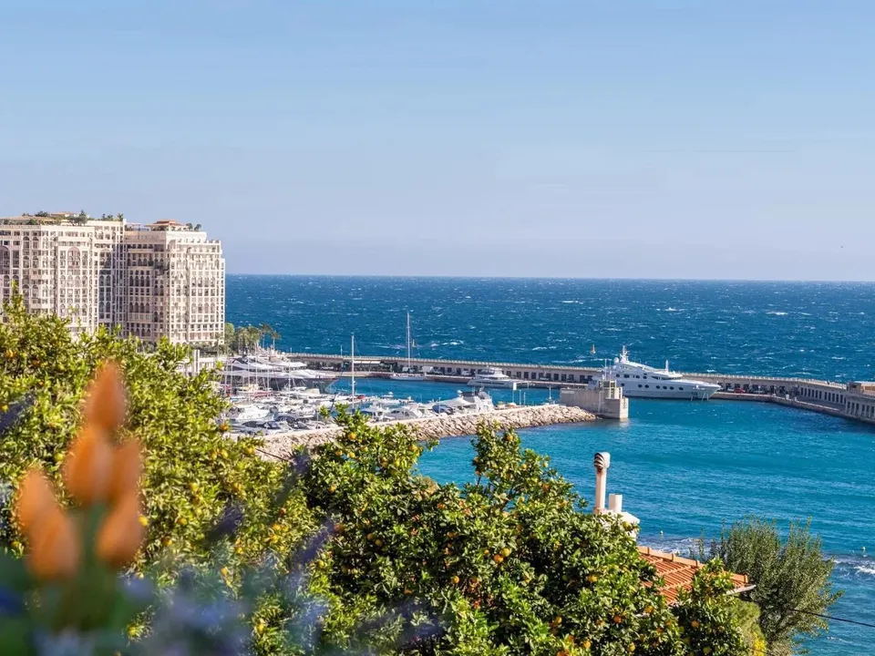 Lejlighed i Cap-d'Ail, Alpes-Maritimes - foto 3