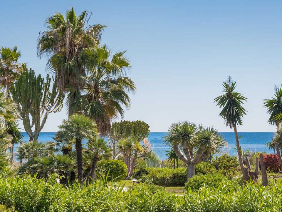 Lejlighed i Estepona, Malaga - foto 3