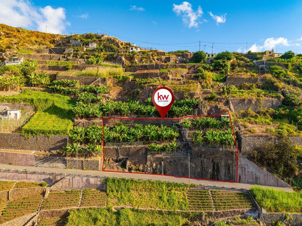 Helårsgrund i Camara de Lobos, Madeira - foto 4