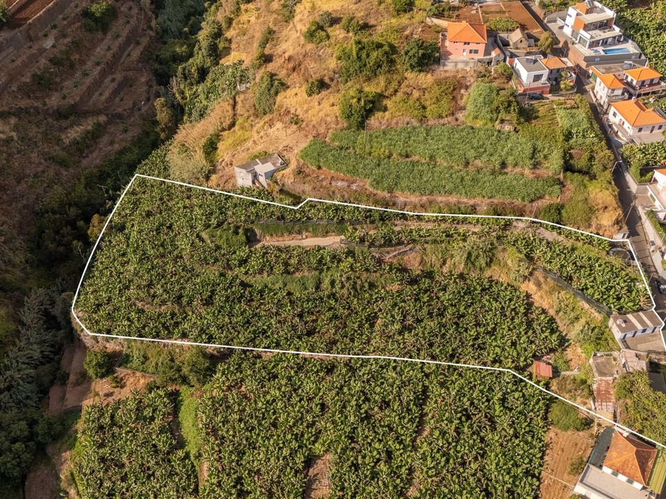 Helårsgrund i Ponta do Sol, Madeira - foto 4