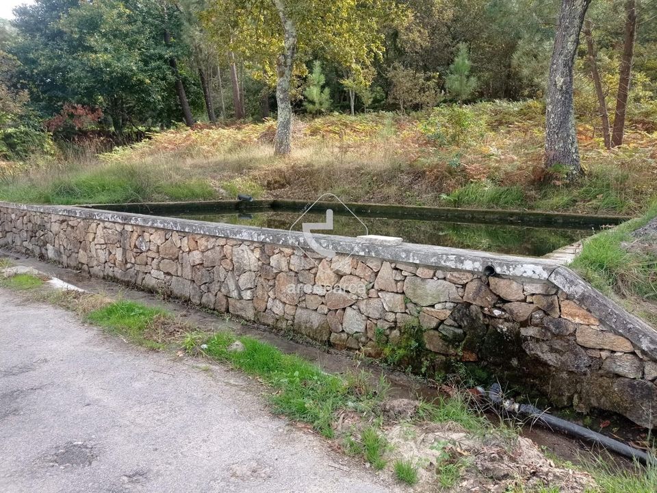 Farm i Valenca, Viana do Castelo - foto 5