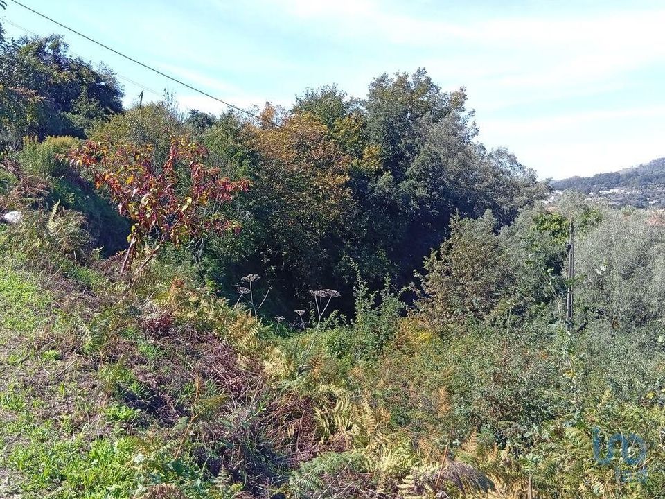 Helårsgrund i Vila Verde, Braga - foto 5