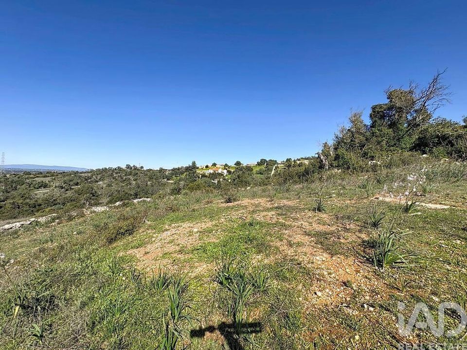 Helårsgrund i Silves, Faro - foto 4